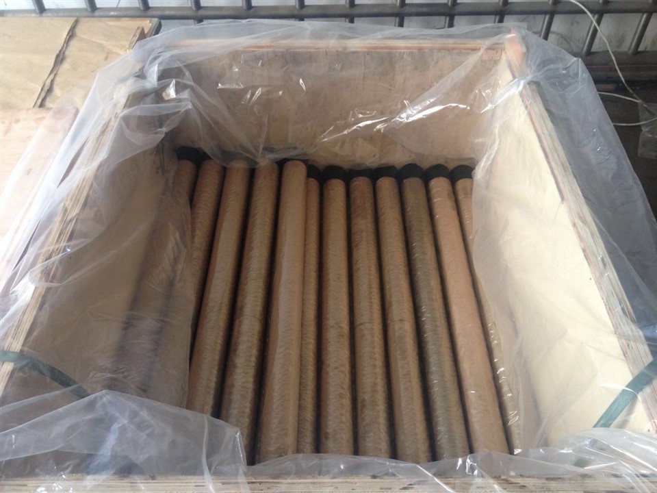 Fuel Oil Pump Plunger